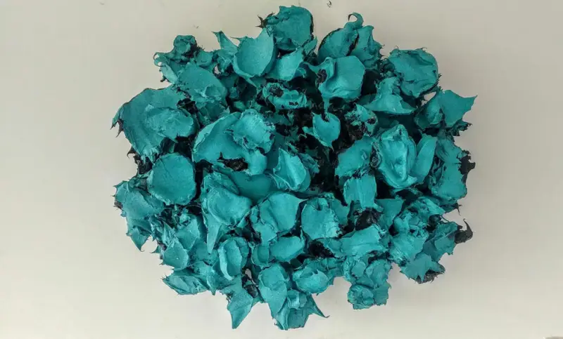 Flavio Petricca opera ortensia